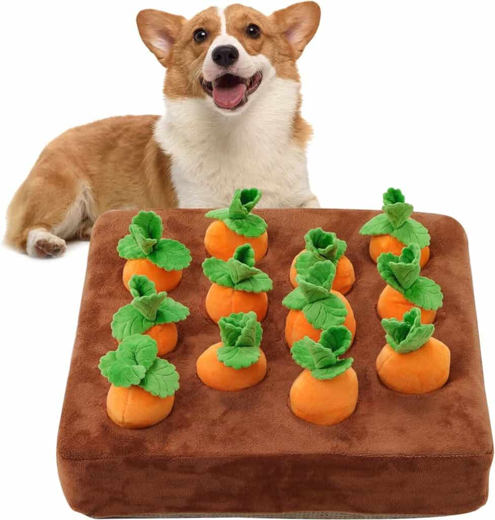 close up of interactive dog toy with carrot plush toys and a corgi puppy