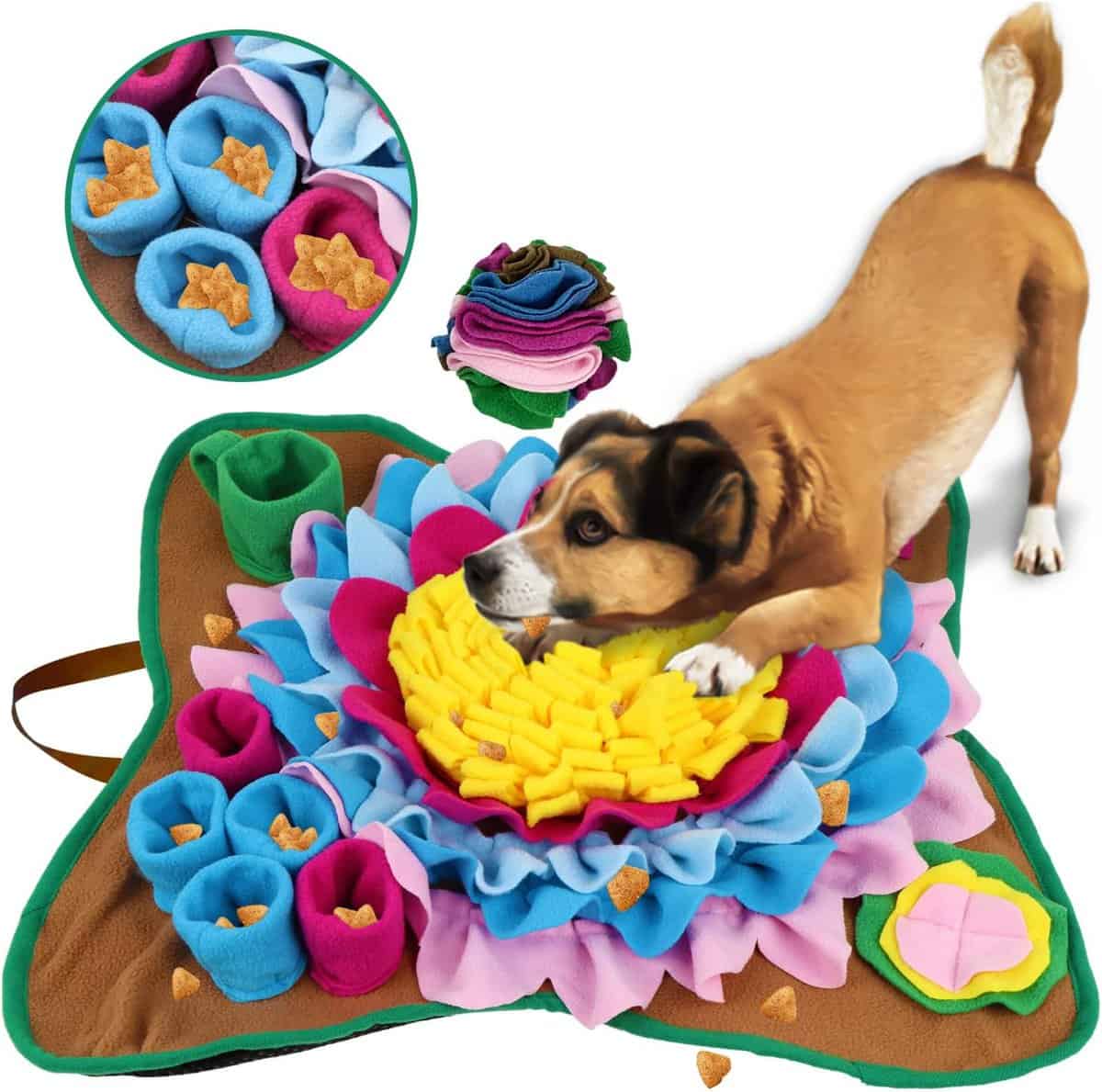 dog play bowing on twoper snuffle mat