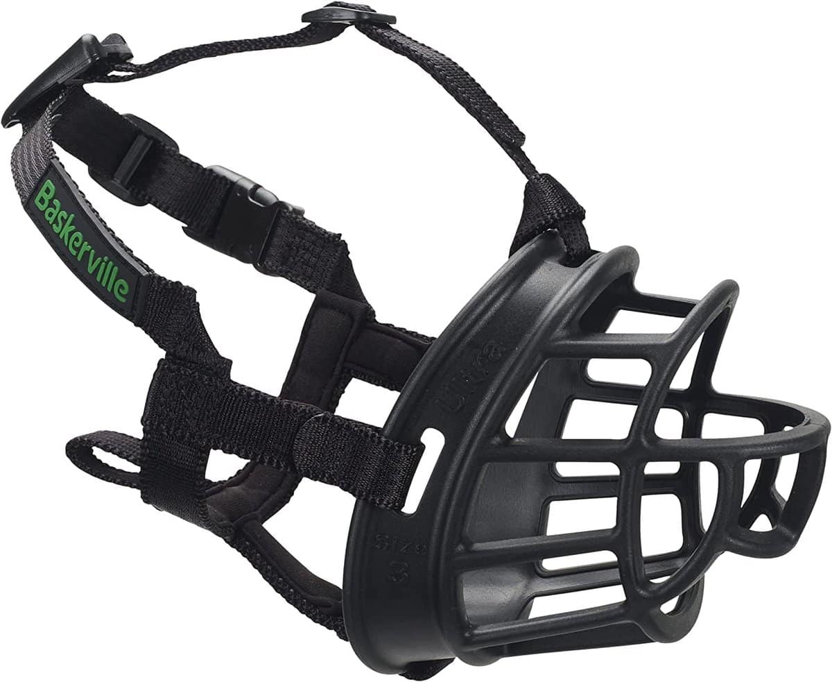 close up of black baskerville dog muzzle