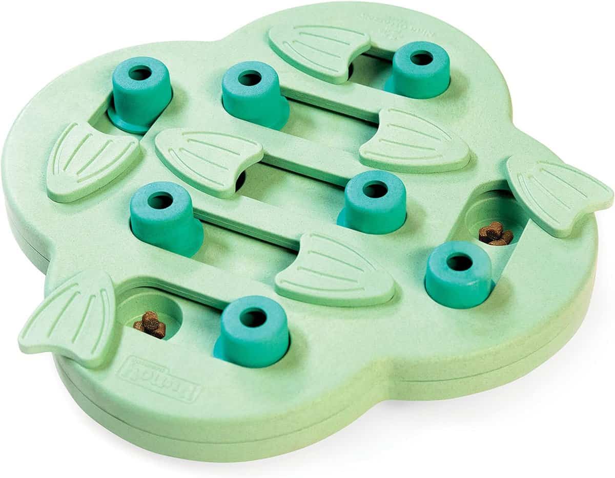 light green beginner level dog puzzle toy