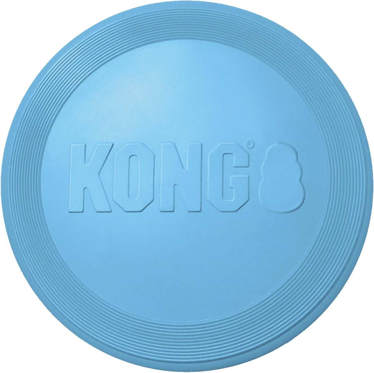 baby blue kong puppy flyer frisbee for puppies