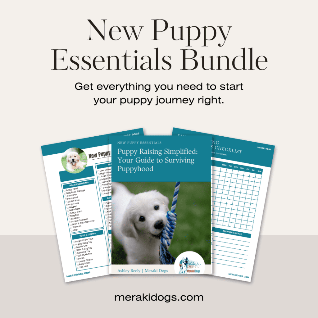new puppy essentials bundle ebook and worksheets for potty training, socialization and training