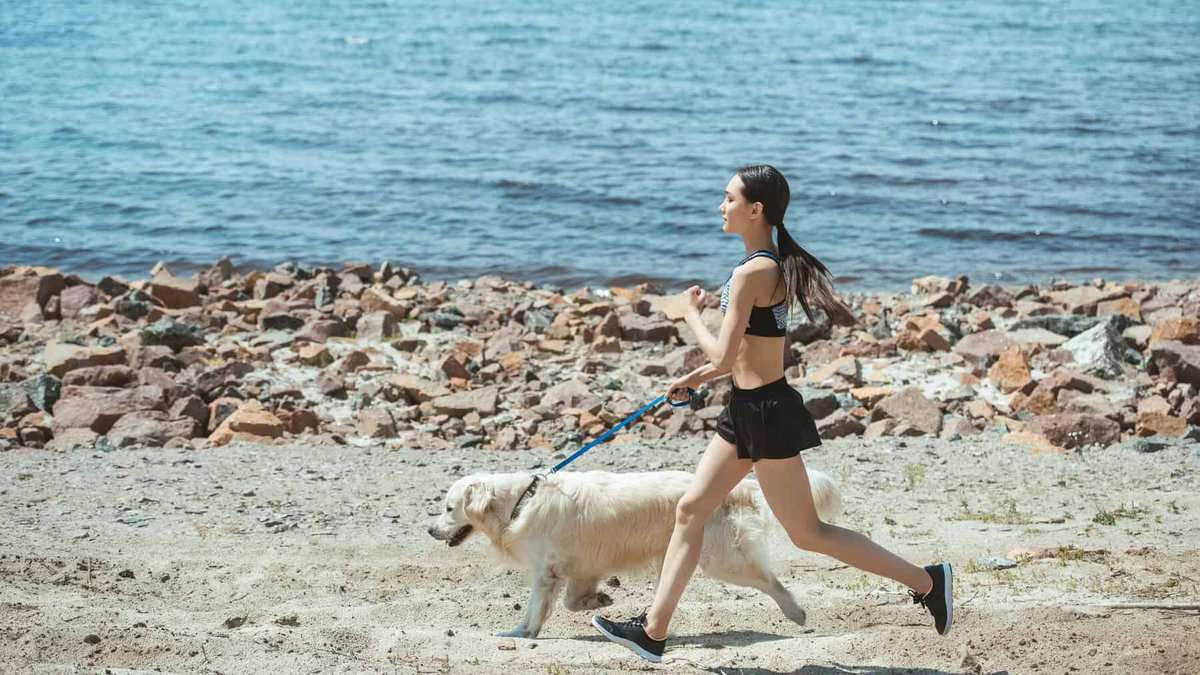 side view of woman jogging with golden retriever on beach