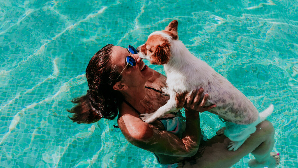 terrier swimming in pool with owner