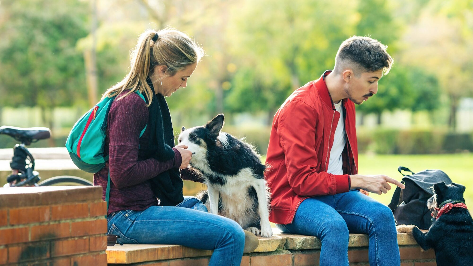 Two friends giving treats to two dogs while sitting on a park