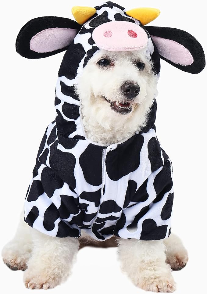 cute white dog wearing a cow halloween dog costume
