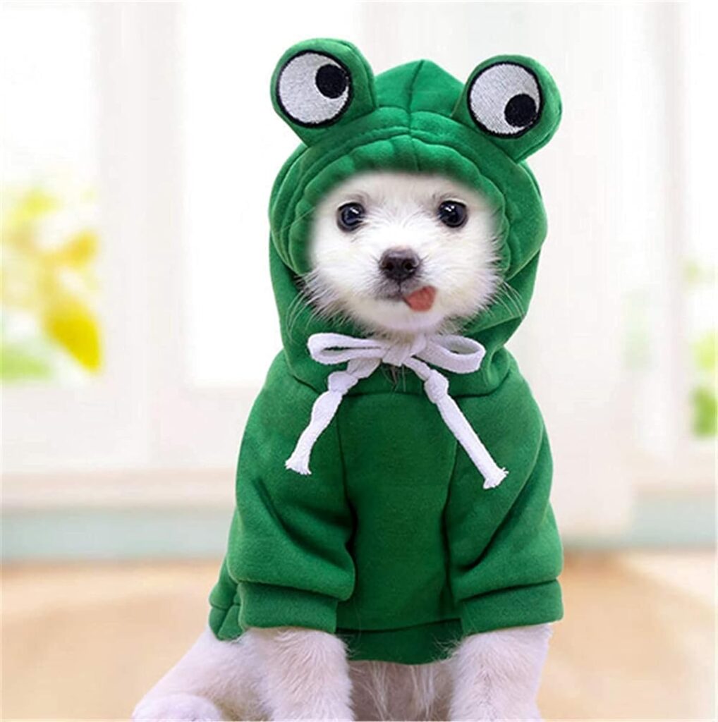 cute white dog wearing green frog hoodie for halloween