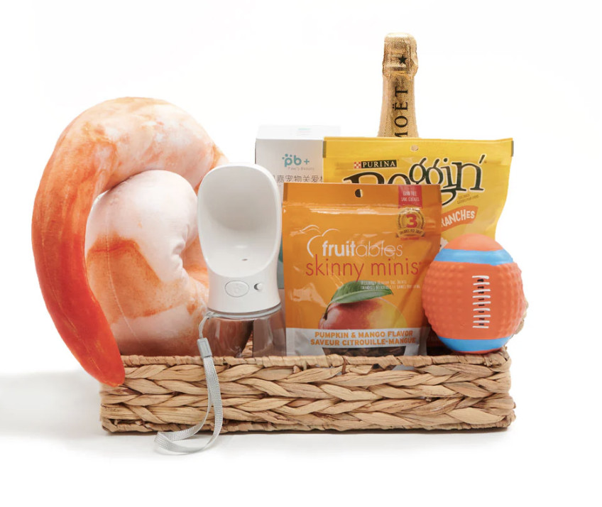 dog treats and toys in woven gift basket