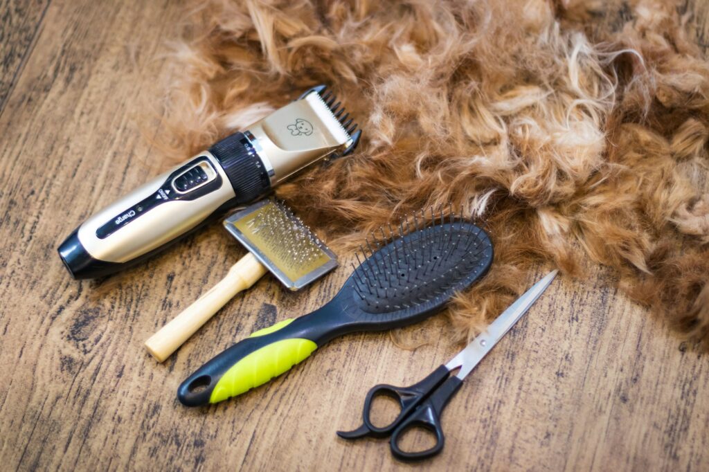 dog grooming gift sets and trimmed dog hair on wooden background