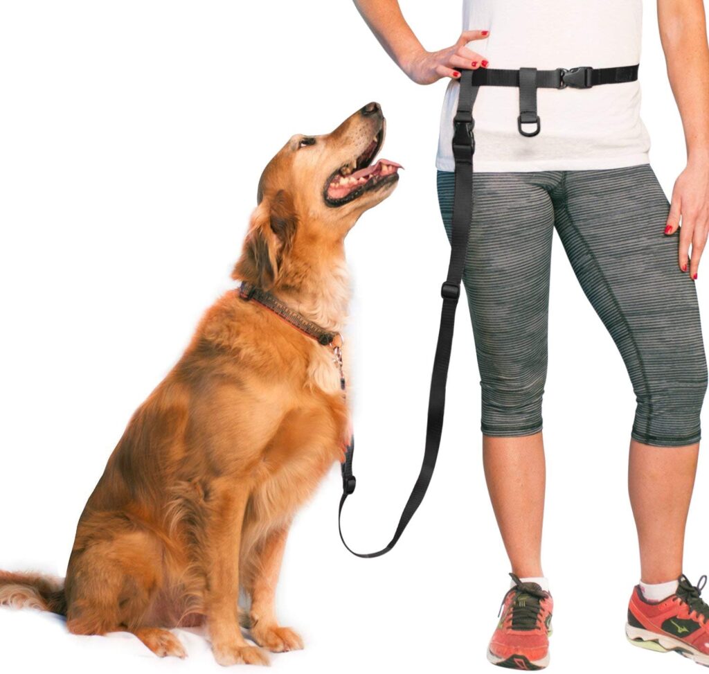 golden retriever sitting next to owner on hands-free leash