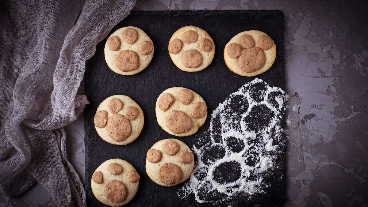 Cookies in the shape of cats paw