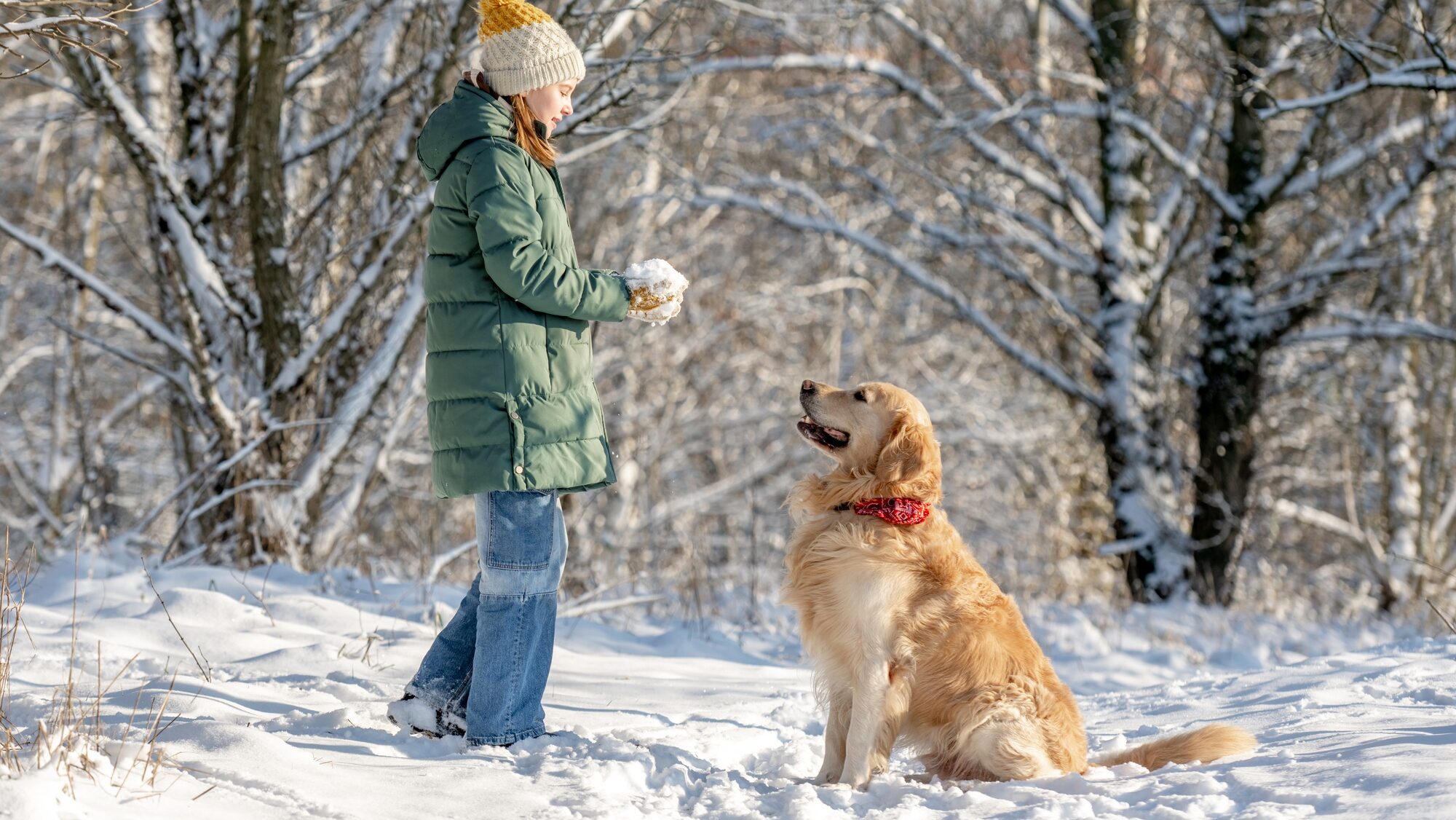 Small Girl With Golden Retriever In Winter Forest