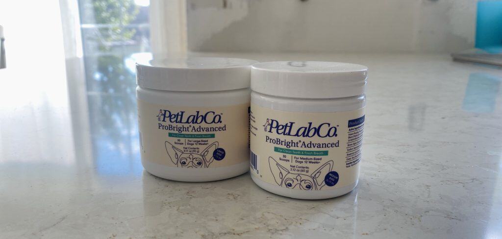 petlabco probright tubs sitting on kitchen counter